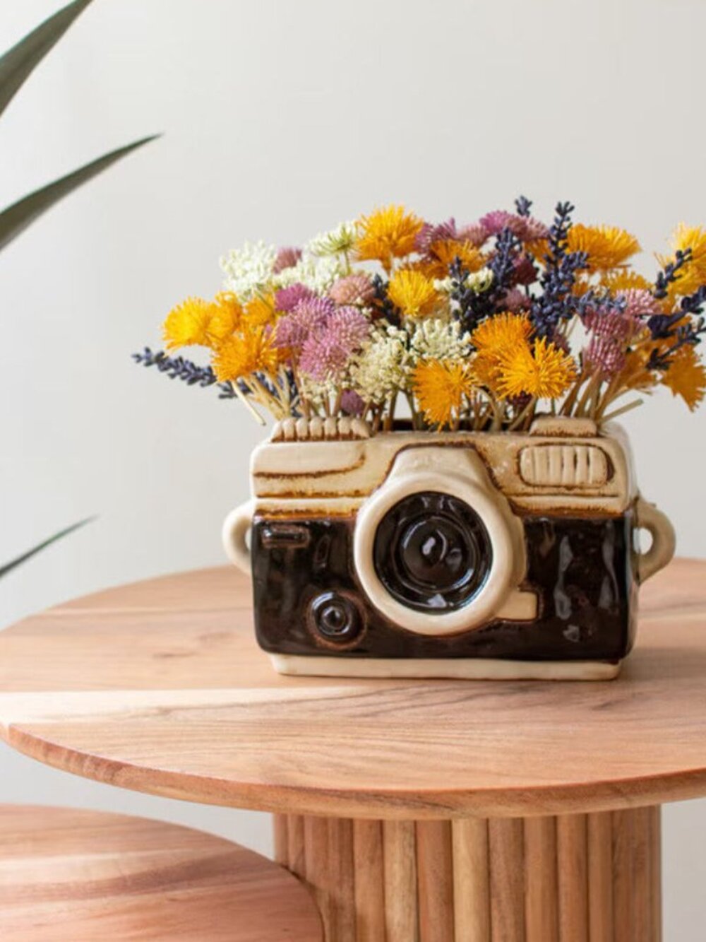Ceramic Camera Planter - Picture 3 of 4
